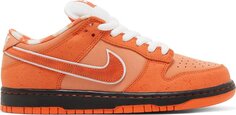 Кроссовки Nike Concepts x Dunk Low SB &apos;Orange Lobster&apos; Special Box, оранжевый