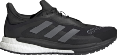 Кроссовки Adidas Wmns SolarGlide 4 GTX &apos;Black Grey&apos;, черный