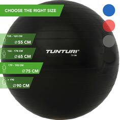 Мяч для фитнеса - мяч для упражнений - швейцарский мяч - с насосом TUNTURI, черный черный