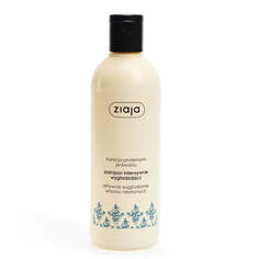 Ziaja Silk Protein Treatment интенсивно разглаживающий шампунь для непослушных волос 300мл