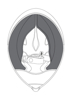 Колодки AGV Pista GP R для шлема