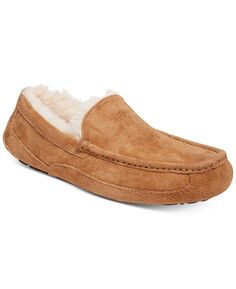 Мужские мокасины ascot UGG, коричневый