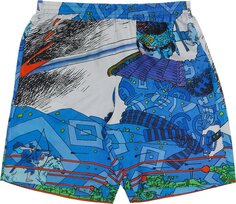 Шорты Supreme Ronin Silk Short &apos;Blue&apos;, синий