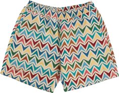 Шорты Pleasures Basket Woven Shorts &apos;Multicolor/Khaki&apos;, разноцветный