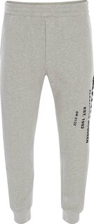 Джоггеры Alexander McQueen Graffiti Joggers &apos;Pale Grey/Black&apos;, серый