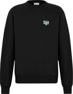 Толстовка Dior x Shawn Stussy Bee Embroidred Oversized Sweatshirt &apos;Black&apos;, черный