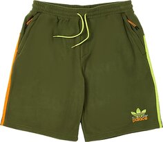 Шорты Palace x adidas Nature Shorts &apos;Wild Pine&apos;, зеленый