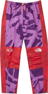 Брюки The North Face x KAWS Mountain Light Pant &apos;Pamplona Purple&apos;, фиолетовый