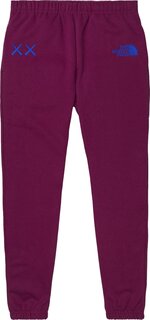 Спортивные брюки The North Face x KAWS Sweatpants &apos;Pamplona Purple&apos;, фиолетовый