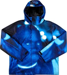 Куртка Supreme Nas and DMX GORE-TEX Shell Jacket &apos;Multicolor&apos;, разноцветный