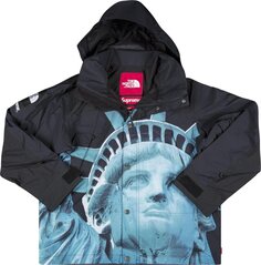 Куртка Supreme x The North Face Statue Of Liberty Mountain Jacket &apos;Black&apos;, черный