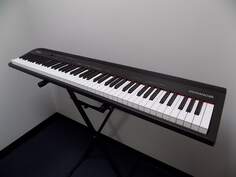 Roland Go-88P GO:PIANO88 88-клавишная клавиатура для создания музыки/цифровое пианино