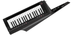 Клавиатурный синтезатор Korg RK-100S 2 в черном цвете RK100S2BK