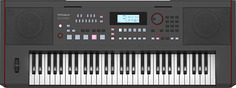 Roland E-X50 61-клавишный аранжировщик - черный