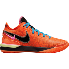 Кроссовки Nike Zoom LeBron NXXT Gen EP, разноцветный