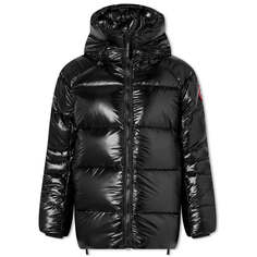 Кипарисовый фугу Canada Goose