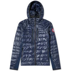 Толстовка Hybridge Lite Canada Goose