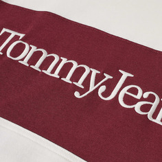 Толстовка Tommy Jeans Skater Serif Linear Hoody