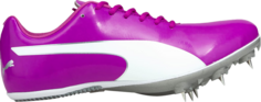 Бутсы Puma evoSpeed Sprint 10 Deep Orchid White, фиолетовый