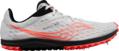 Кроссовки Saucony Kilkenny XC9 Spike Fog ViZi, серый