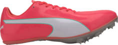 Бутсы Puma evoSpeed Sprint 10 Ignite Pink, розовый