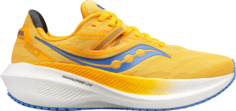 Кроссовки Saucony Wmns Triumph 20 Gold Horizon, золотой