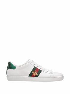 Кожаные кеды Ace Gucci