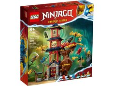 Конструктор Lego Ninjago Temple of the Dragon Energy Cores 71795, 1029 деталей