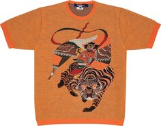 Свитер Junya Watanabe MAN Short-Sleeve Sweater &apos;Multicolor&apos;, разноцветный