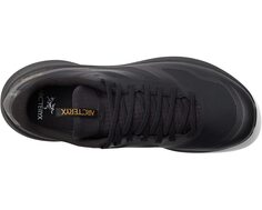 Кроссовки Norvan LD 3 GTX Arc&apos;teryx, черный Arc'teryx