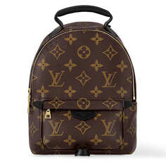 Рюкзак Louis Vuitton Palm Springs Mini Monogram, коричневый