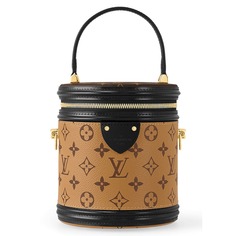 Сумка Louis Vuitton Cannes Monogram, коричневый