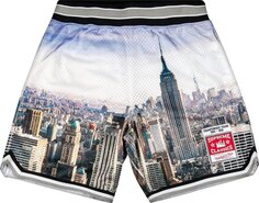 Шорты Supreme x Mitchel And Ness Basketball Short &apos;Skyline&apos;, разноцветный