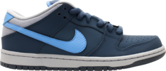 Кроссовки Nike Dunk Low Pro SB, темно-синий