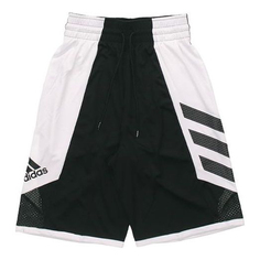 Баскетбольные шорты Basketball Adidas Pro Madness Shr Basketball game Sports Black, Черный