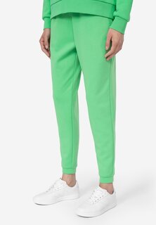 Спортивные брюки 4F, зеленый