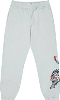 Спортивные брюки Palace Dragon Sweatpants &apos;Grey&apos;, серый