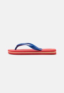 Шлепанцы Havaianas