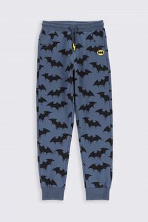 Тренировочные брюки Coccodrillo Batman, темно-синий