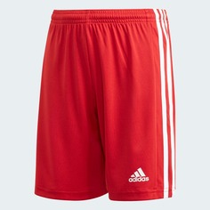 Шорты Adidas Soccer Squadra 21, красный/белый