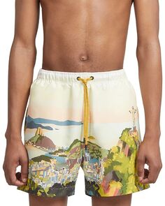 Акварельные шорты для плавания Рио-де-Жанейро Zegna