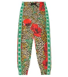 Хлопковые спортивные штаны с принтом Dolce&amp;Gabbana, разноцветный