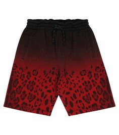 Шорты с леопардовым принтом Dolce&amp;Gabbana, красный