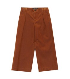 Вельветовые брюки Roberta Loro Piana, коричневый