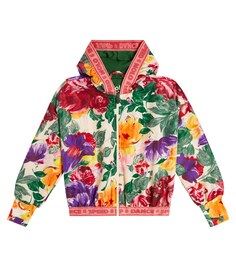 Спортивная куртка Ophelia с цветочным принтом Molo, разноцветный
