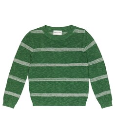 Полосатый свитер Speedo Morley, разноцветный