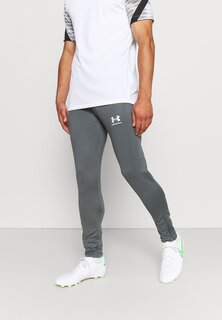 Спортивные брюки Under Armour