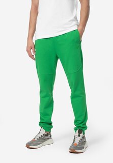 Спортивные брюки 4F, зеленый