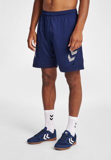 Спортивные шорты Hummel, серо-голубой