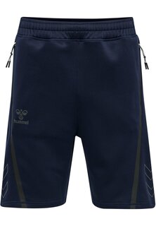 Спортивные шорты Hummel, серо-голубой